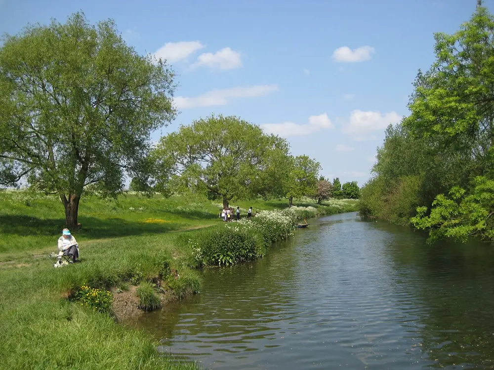 Walk the Meadows to Grantchester