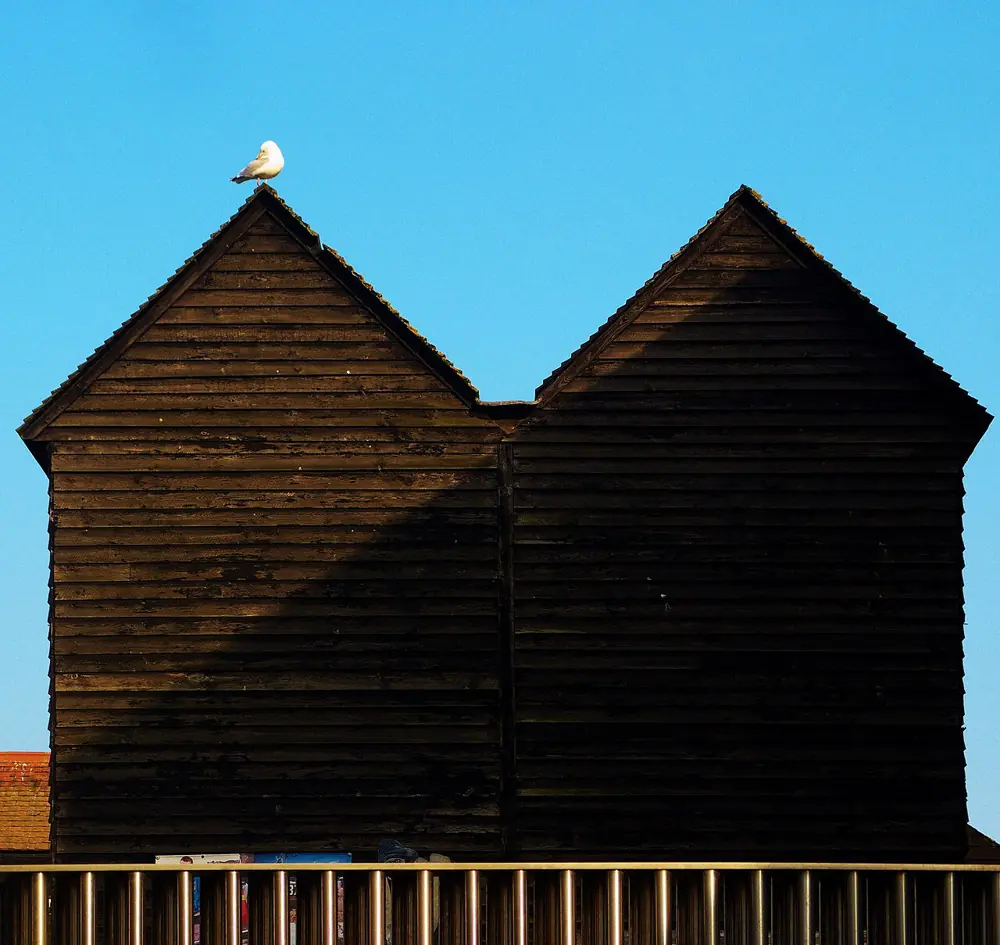 The Tall Black Net Huts