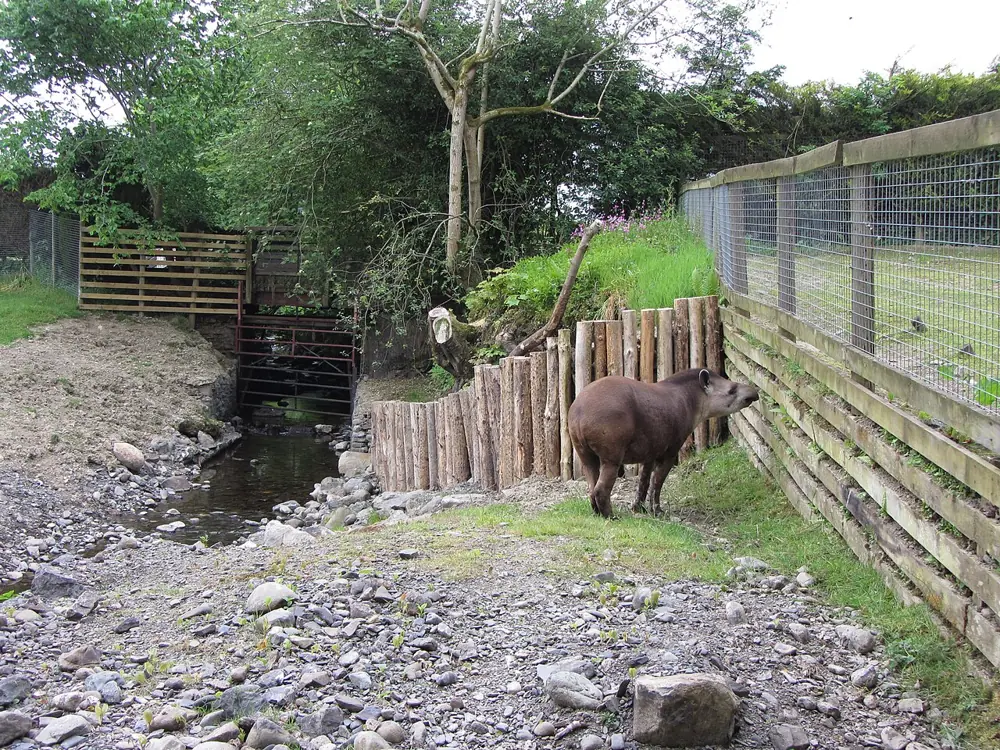 Lake District Wildlife Park