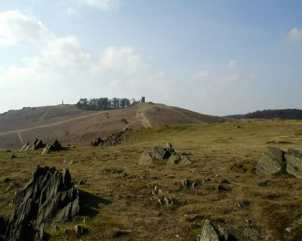 Deer and Ruins at Bradgate Park