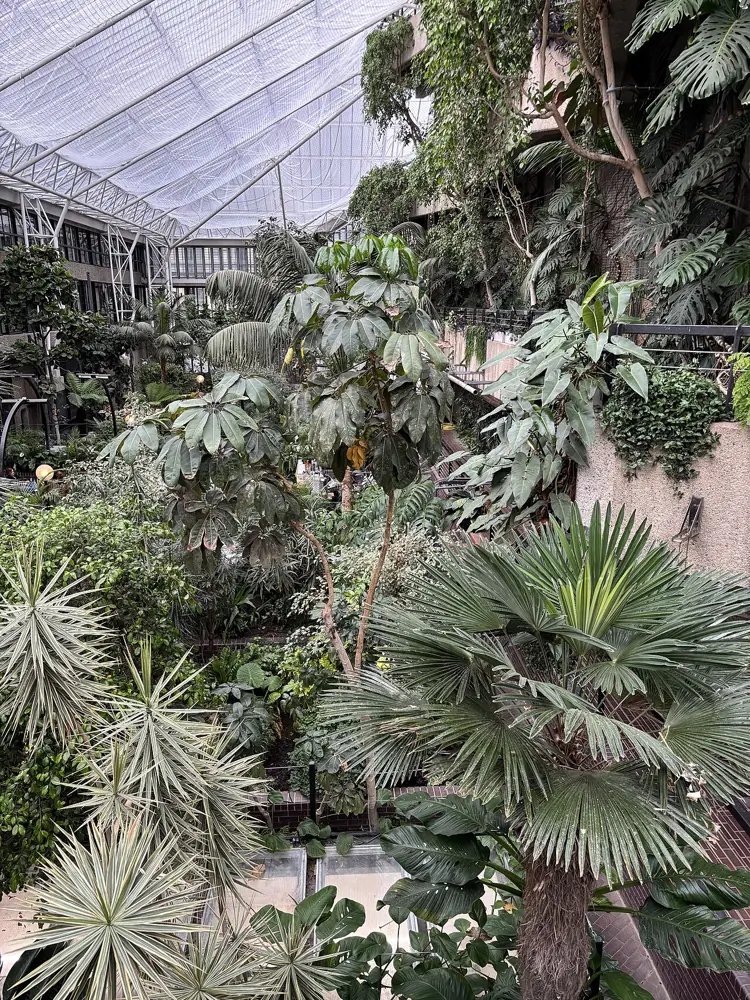 The Jungle in the Barbican