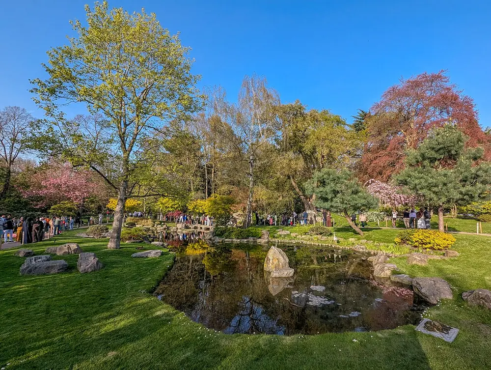 The Kyoto Garden