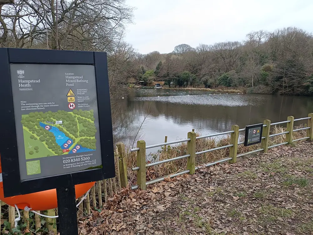 Wild Swim in the Hampstead Ponds