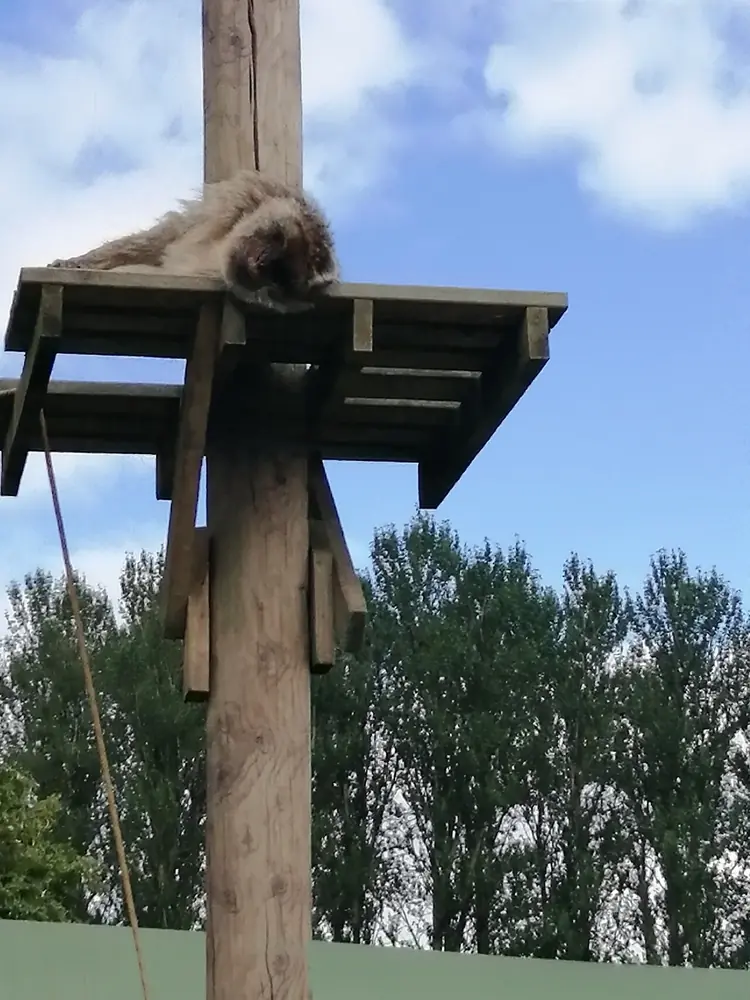 Blair Drummond Safari Park