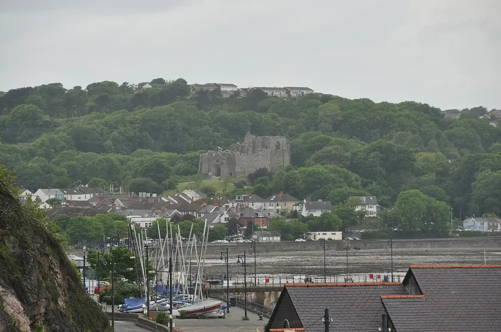 Oystermouth Castle
