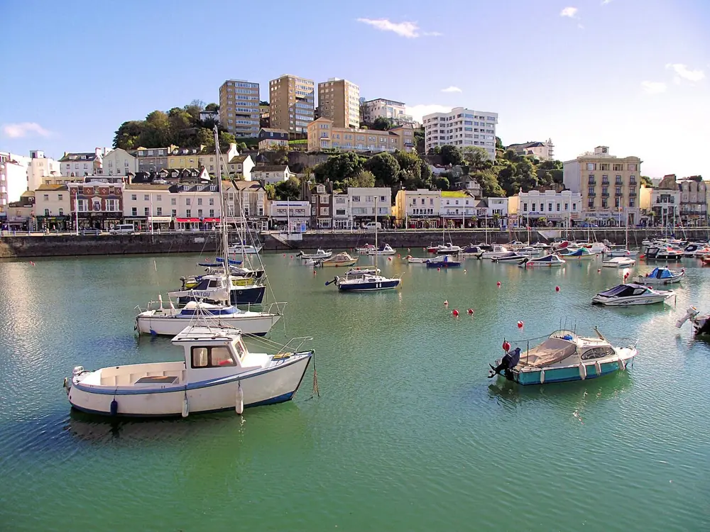 Fish and Chips by the Harbour