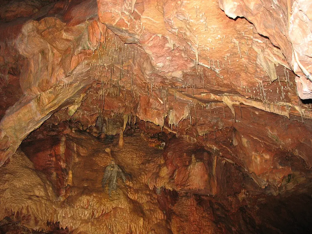 Prehistoric Kents Cavern