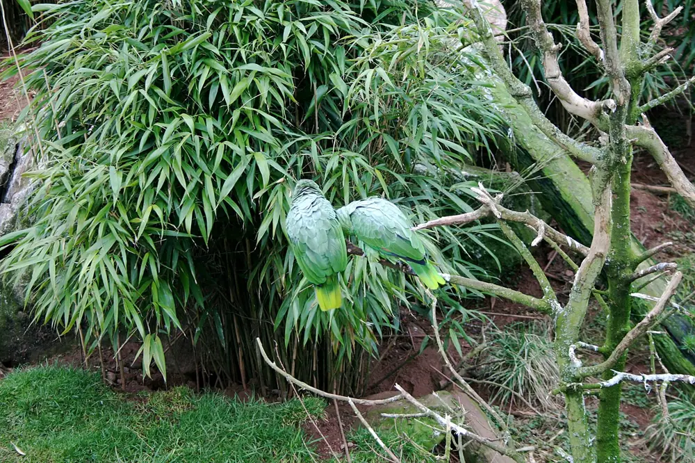 South Lakes Safari Zoo