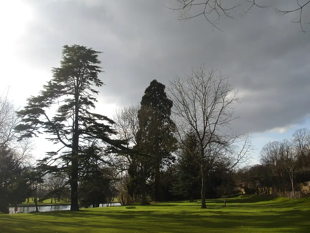 Caversham Court Gardens