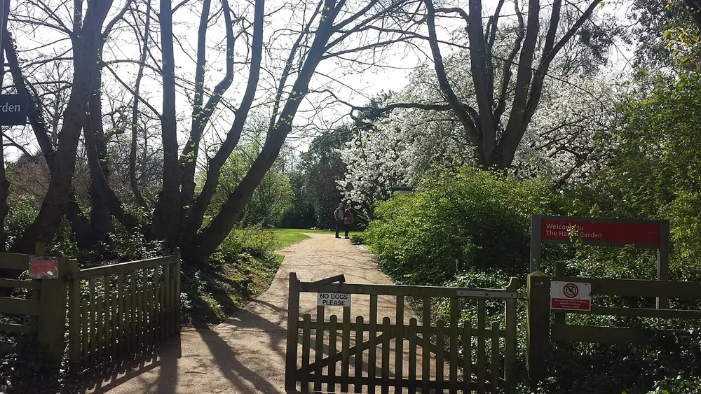 Harris Garden