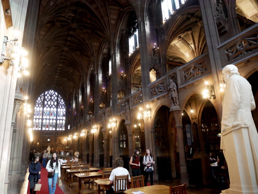 The Cathedral of Books