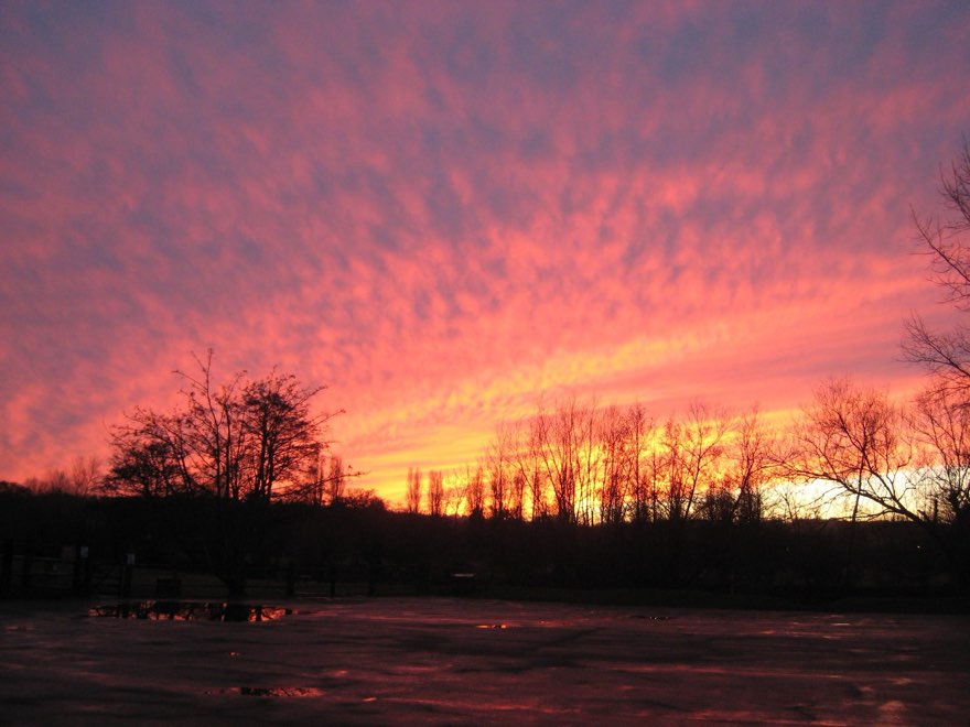 Port Meadow Golden Hour