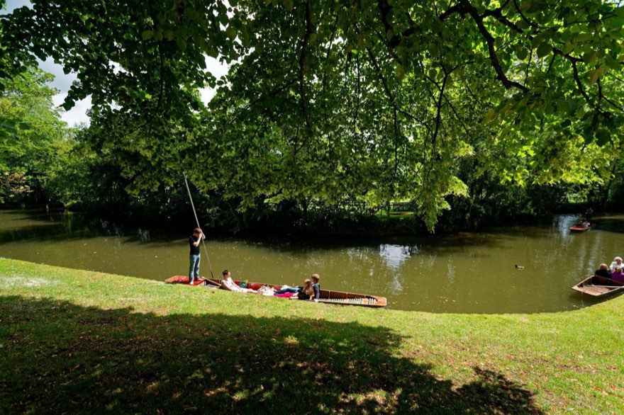 Punt Like a Local