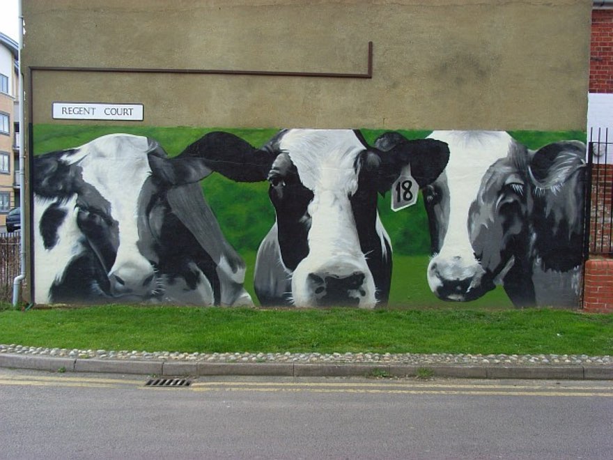 Find the Cow