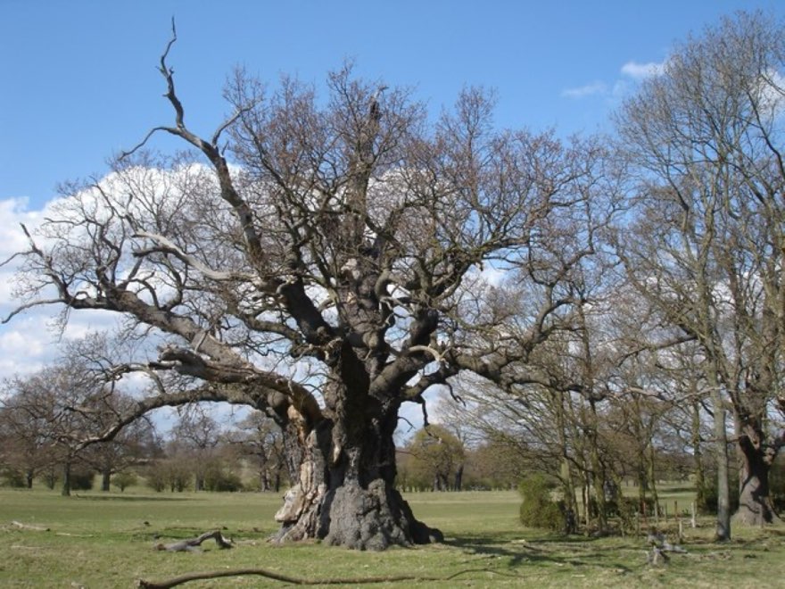 The Ghost of Herne the Hunter